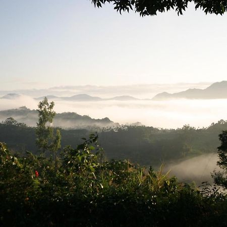 Sao Ba Ding Homestay Ruisui Dış mekan fotoğraf
