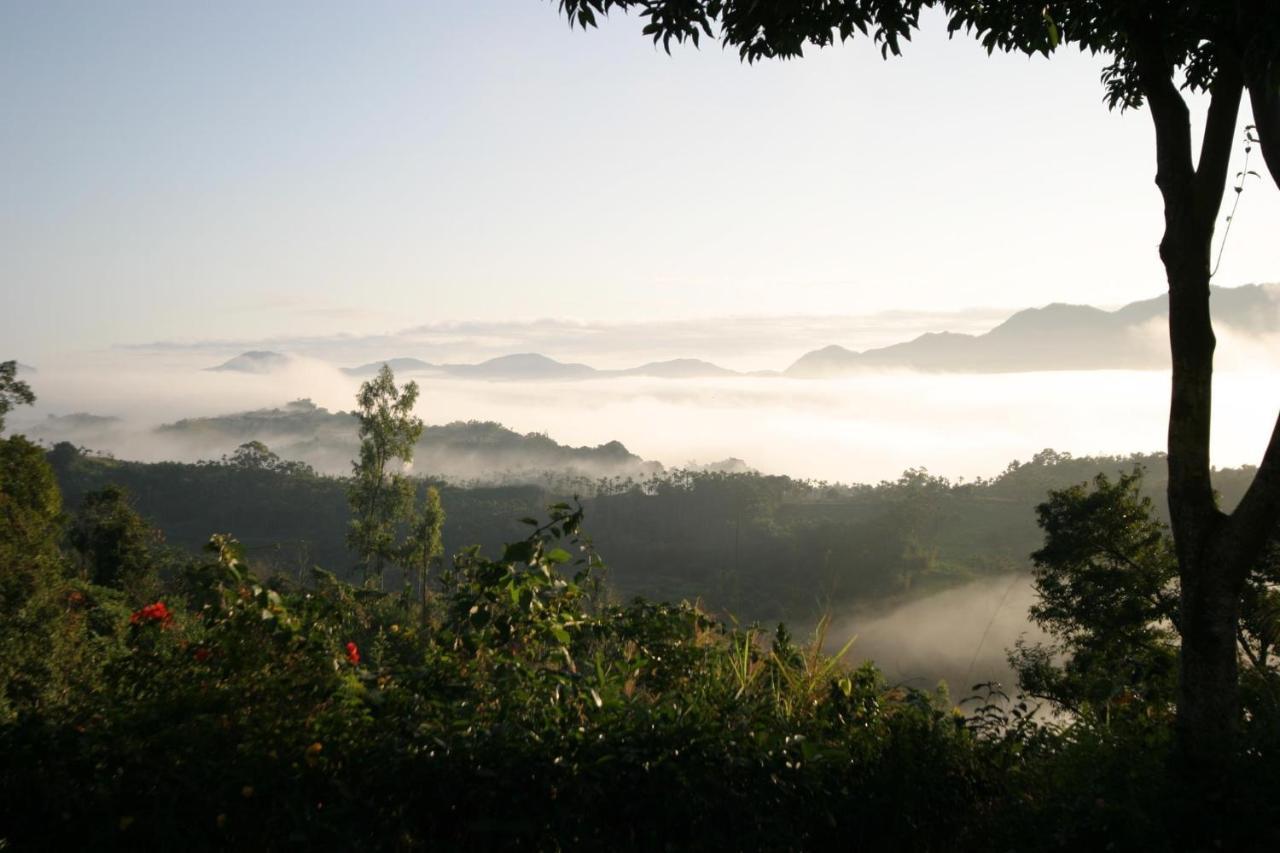 Sao Ba Ding Homestay Ruisui Dış mekan fotoğraf